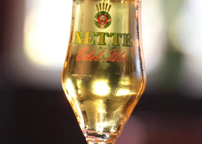 小酒馆城堡酒店 新维德